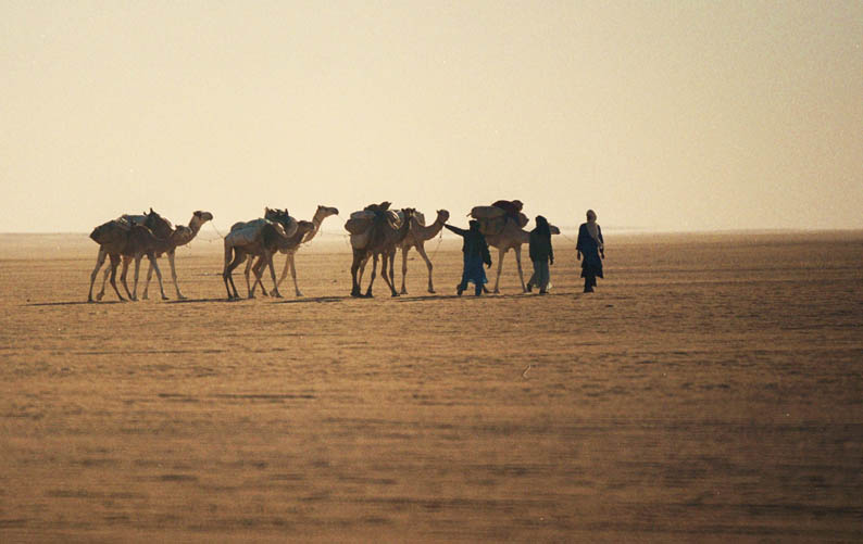 foto's 540.000 kilometer