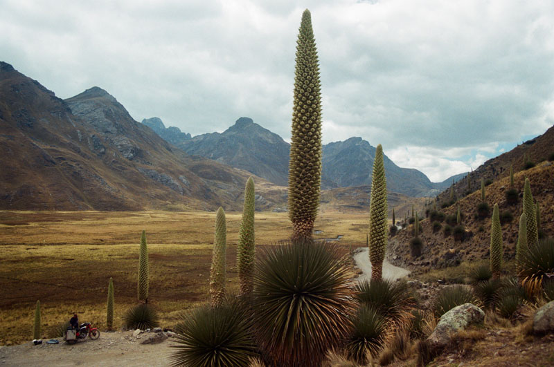 foto's 540.000 kilometer