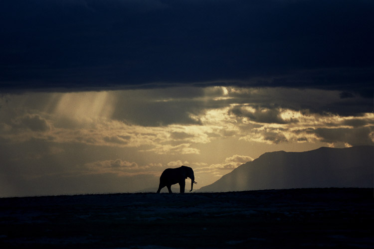 foto's 540.000 kilometer