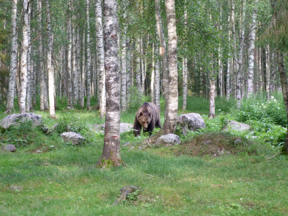 Finland-foto's 570.000 kilometer