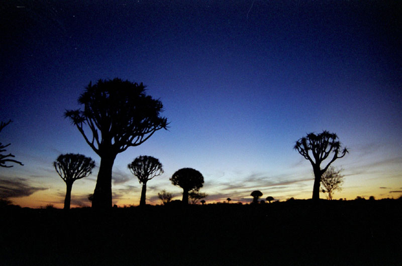 Namibi&euml;