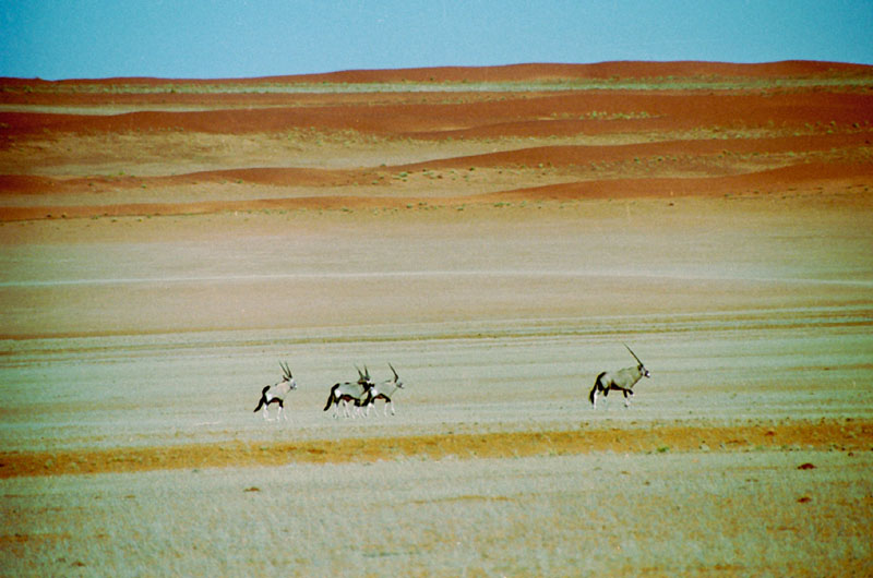 Namibie